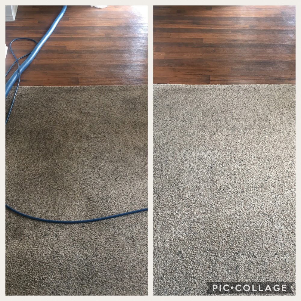 Spot Be Gone Carpet Cleaning